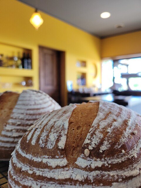 🍇 야마후지 포도원 (야마후지 부도엔) 이미지 1